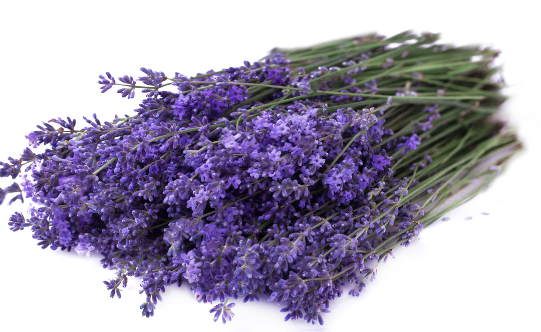 Soothe + Relax